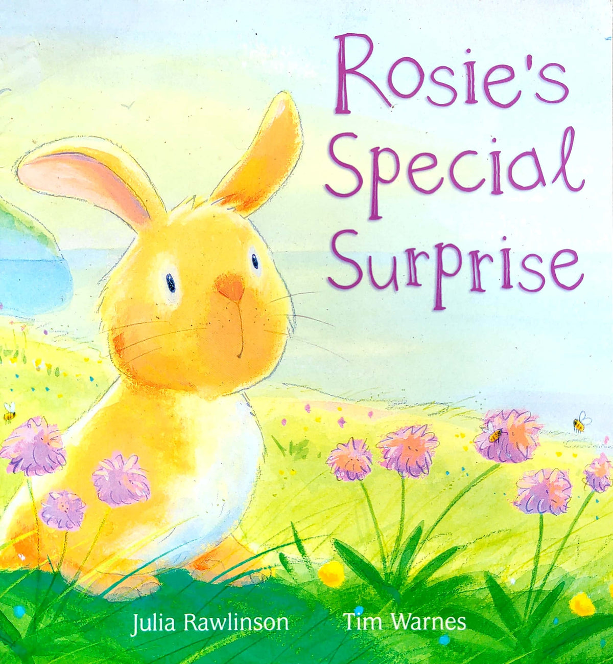 Rosie's Special Surprise