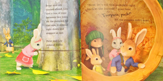 Peter Rabbit Combo Set 14 (4 Books)