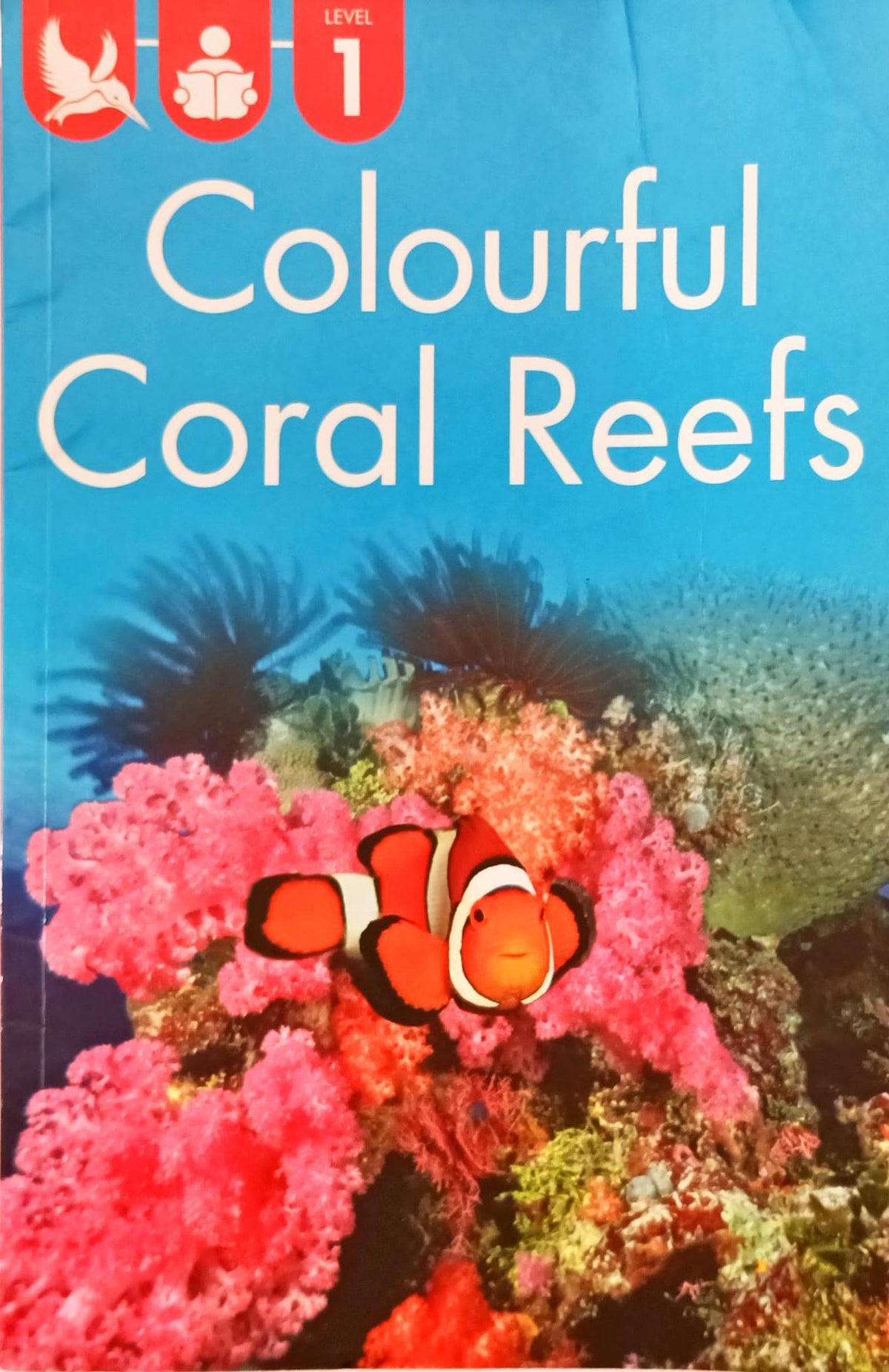 Colourful Coral Reefs