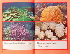 Colourful Coral Reefs