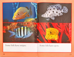 Colourful Coral Reefs