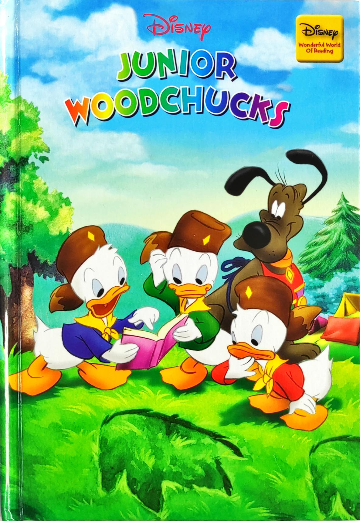 Disney Junior Woodchucks (Wonderful World of Reading)