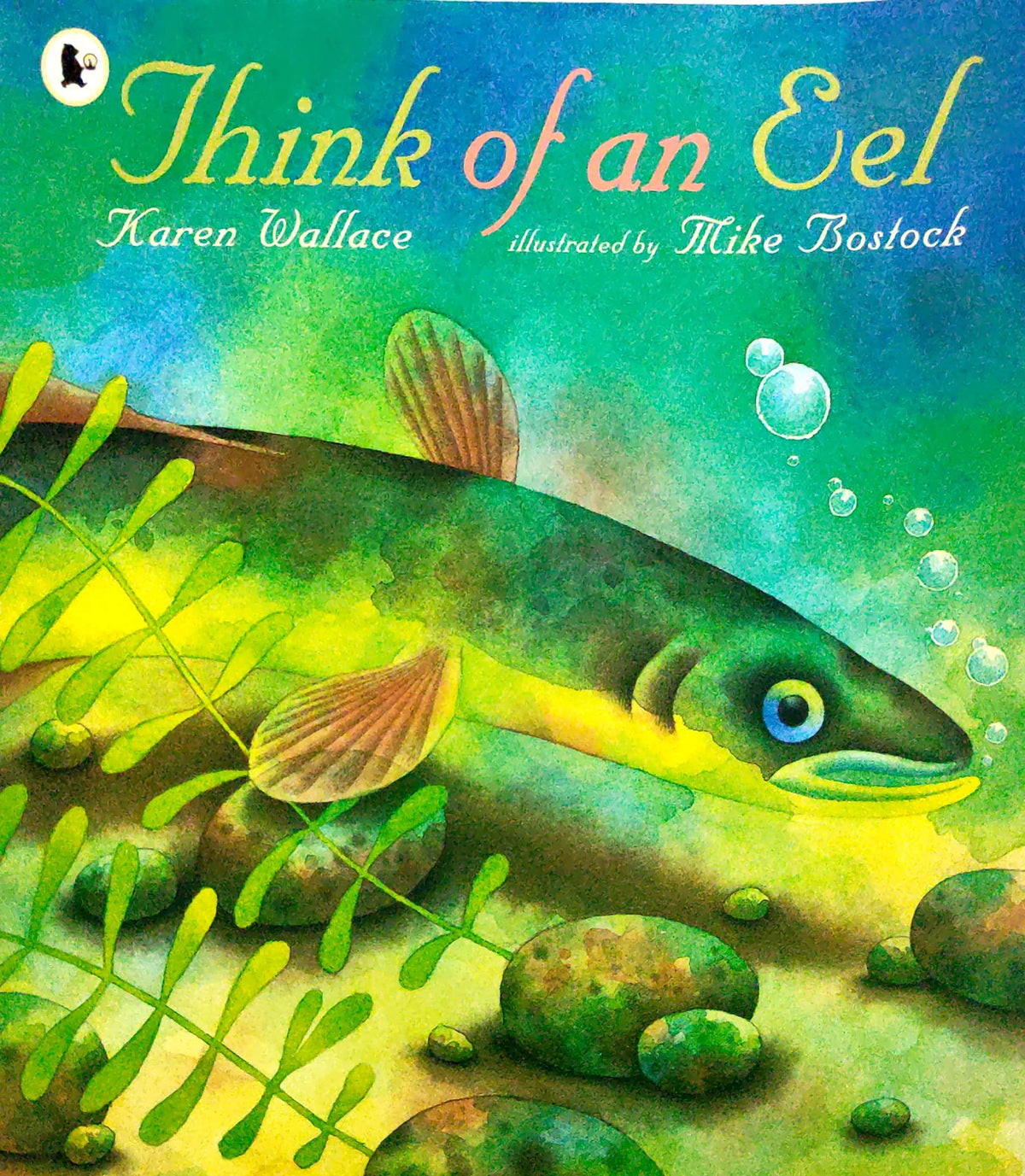Think of an Eel