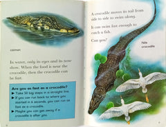 Crocodile (Wild Reads)