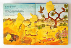 Animals Around the World (Flap Book)