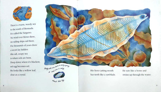 Think of an Eel