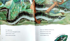 Think of an Eel