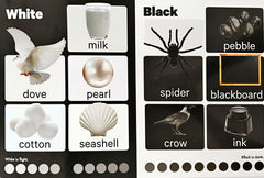 Early Learning Colours