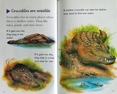 Crocodile (Wild Reads)