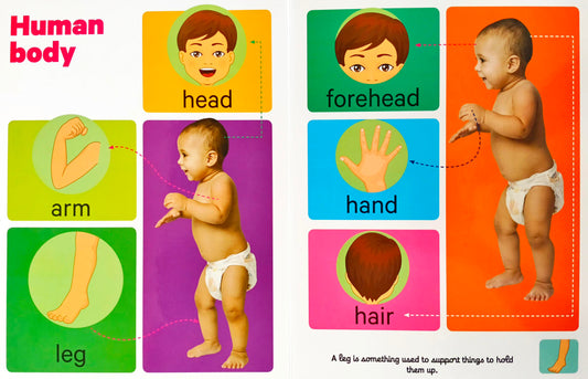 Early Learning Human Body