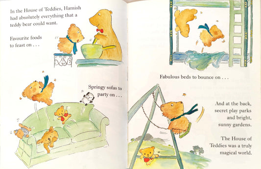Hamish: The Bear Who Found His Child
