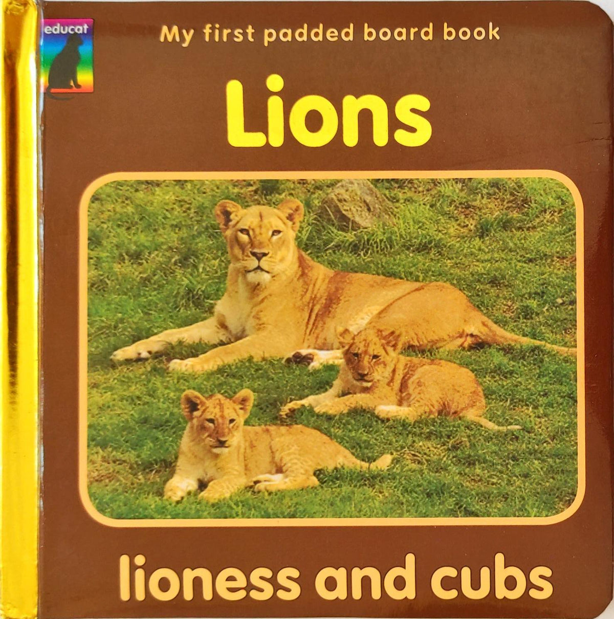 Lions Lioness and Cubs