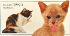 Touch and Feel Kitten