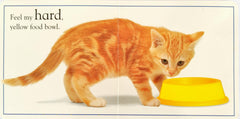 Touch and Feel Kitten