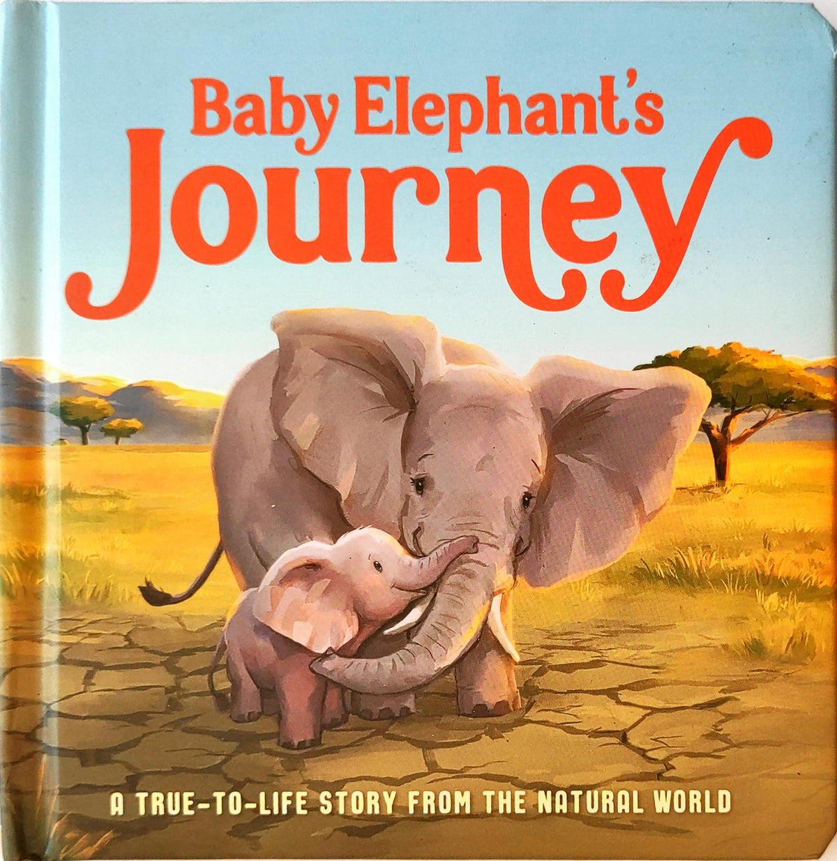 Baby Elephants Journey