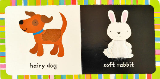 Baby's Very First Touchy Feely Animal Book