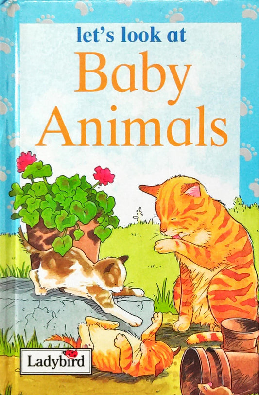 Lets Look at Baby Animals