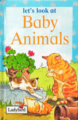 Lets Look at Baby Animals