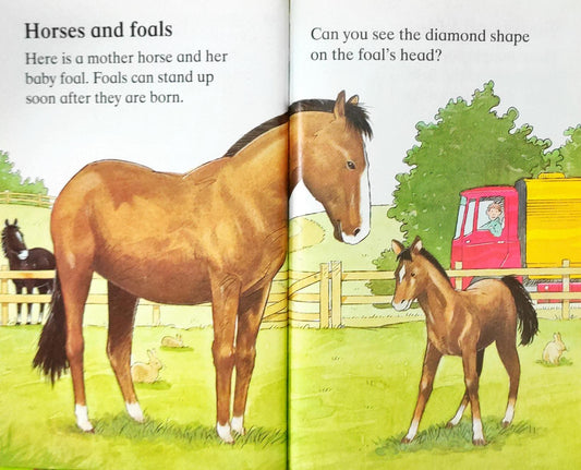 Lets Look at Baby Animals