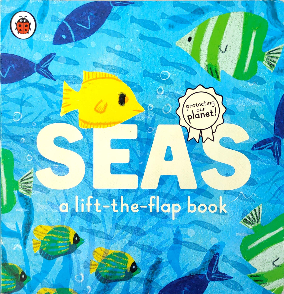 Seas (Flap Book)