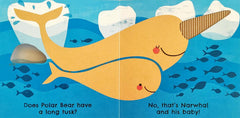 Where are You Polar Bear? (Touch and Feel)