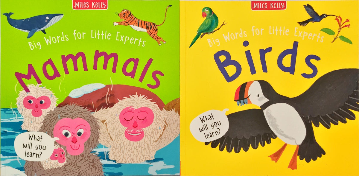 Miles Kelly Combo Set 25 (2 Books)