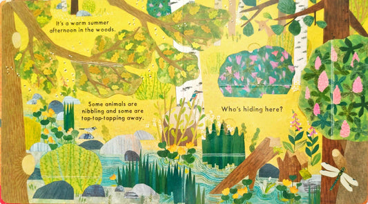 Whos Hiding in the Woods? (Flap Book)
