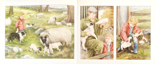 The Shepherd Boy