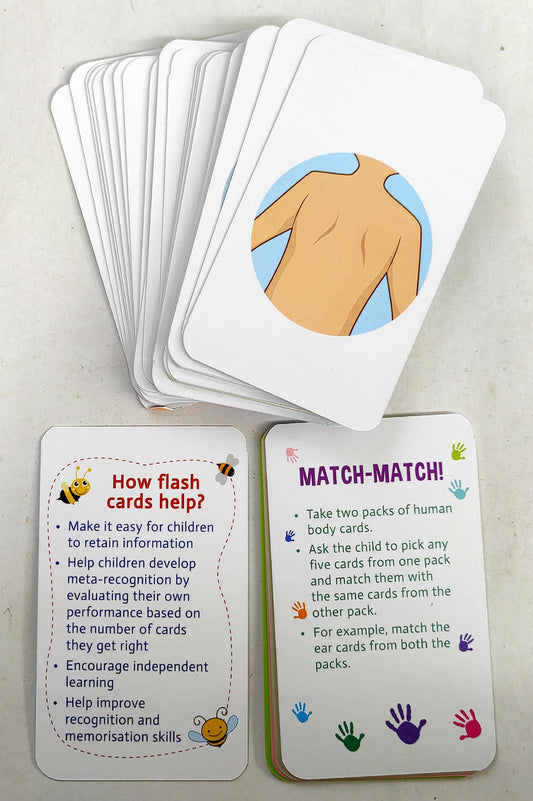 Human Body (Flash Card)