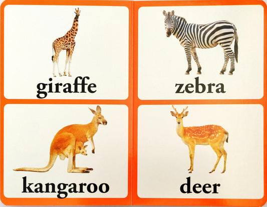 Wild Animal with Large Font