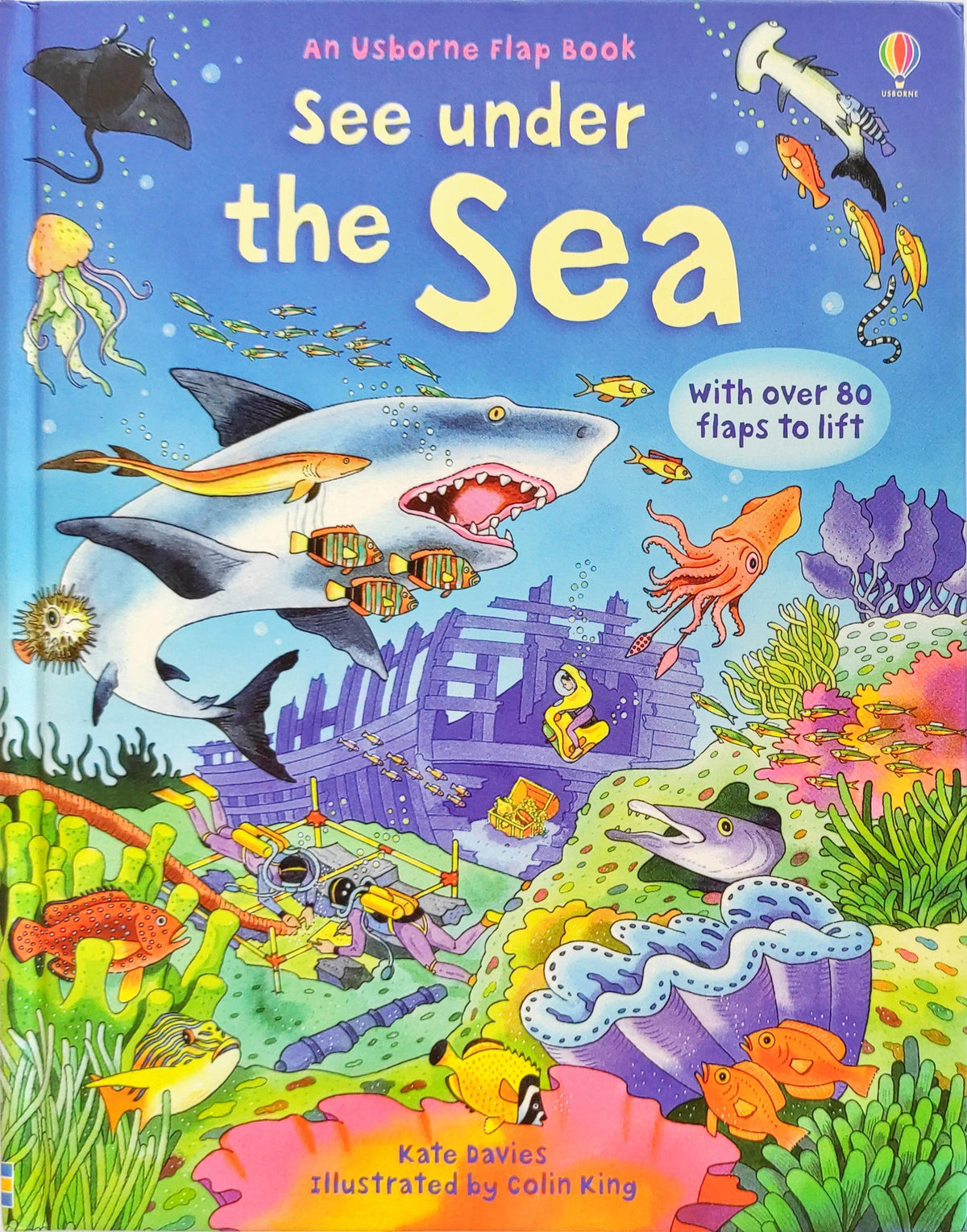 Usborne See Under the Sea (Lift the Flap)