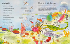 Usborne See Under the Sea (Lift the Flap)