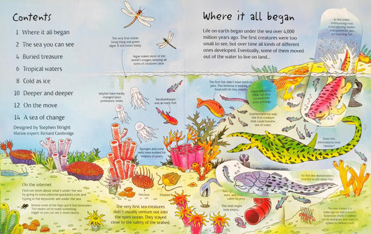 Usborne See Under the Sea (With Over 50 Flap)