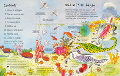 Usborne See Under the Sea (With Over 50 Flap)