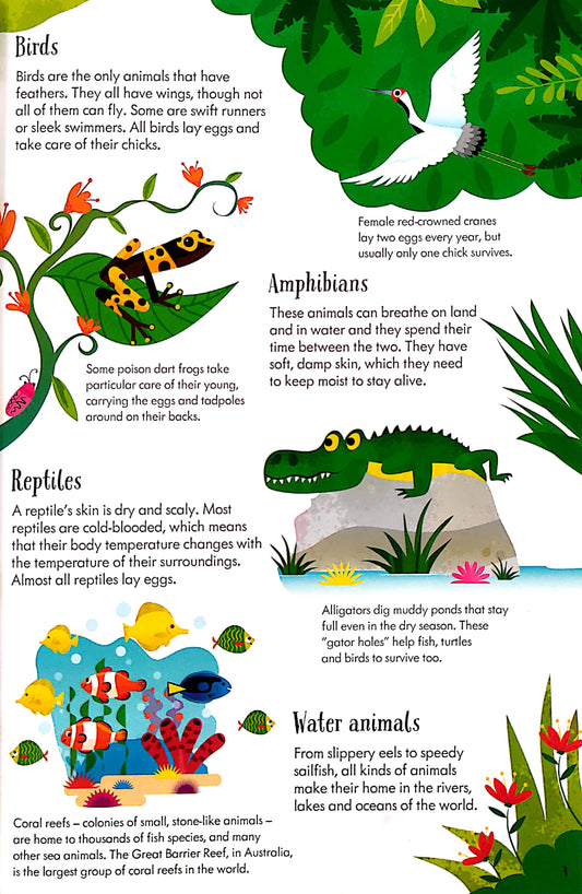 Usborne Animals of the World