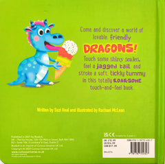 Fierce and Friendly Dragons (Touch and Feel)