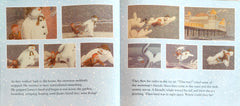 The Snowman (Puffin Picture Book and CD Set)
