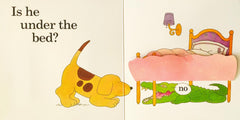 Wheres Spot?(Flap Book)