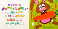 Never touch a Grumpy Bunny! (Touch and Feel)