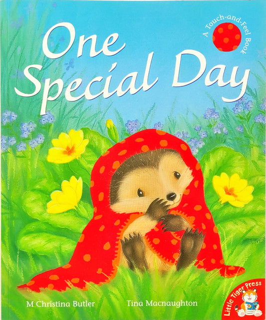 One Special Day (Touch and Feel)
