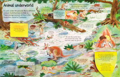 Usborne See Under the Ground (Lift the Flap)