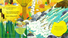 Who's Hiding on the River? (Flap Book)