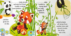 Little Panda Helps to Save the Planet