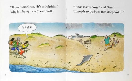 Dolphin Rescue (Biff Chip)