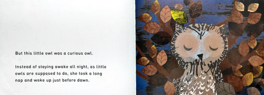 Wow! Said the Owl