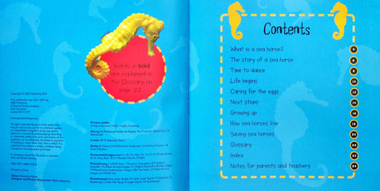Fry to Sea Horse (Life Cycle)