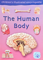 The Human Body