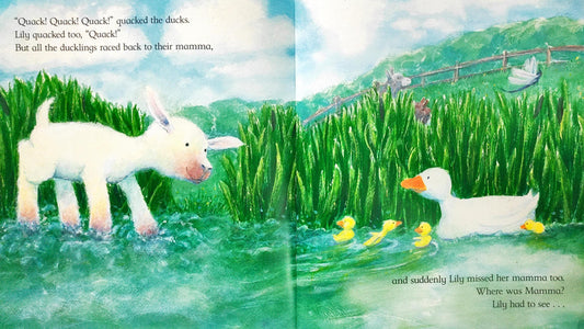 Storybook Combo Set 43 (4 Books)