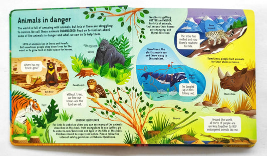 Usborne Look Inside Animals in Danger (Flap Book)