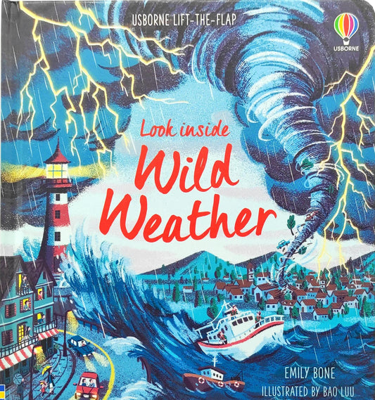 Usborne Look Inside Wild Weather (Flap Book)